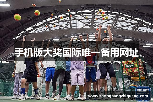 手机版大奖国际唯一备用网址